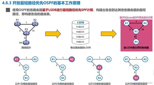 計算機網(wǎng)絡(luò)體系中的網(wǎng)絡(luò)層 計算機軟硬件與網(wǎng)絡(luò)技術(shù)開發(fā)的協(xié)同演進(jìn)